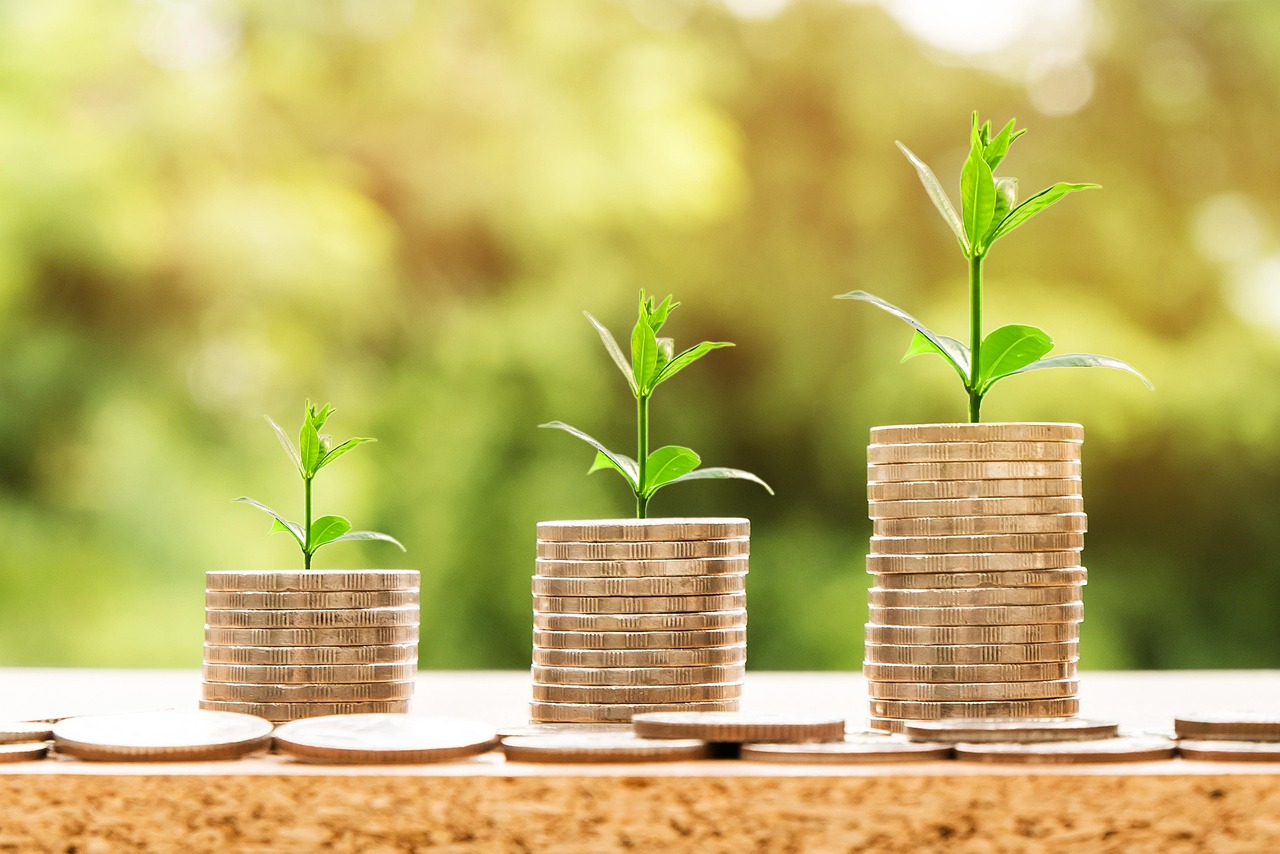Auto detailer calculating business income and revenue