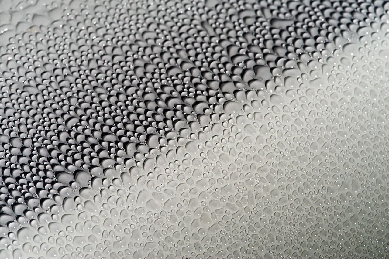 Professional applying ceramic coating to car